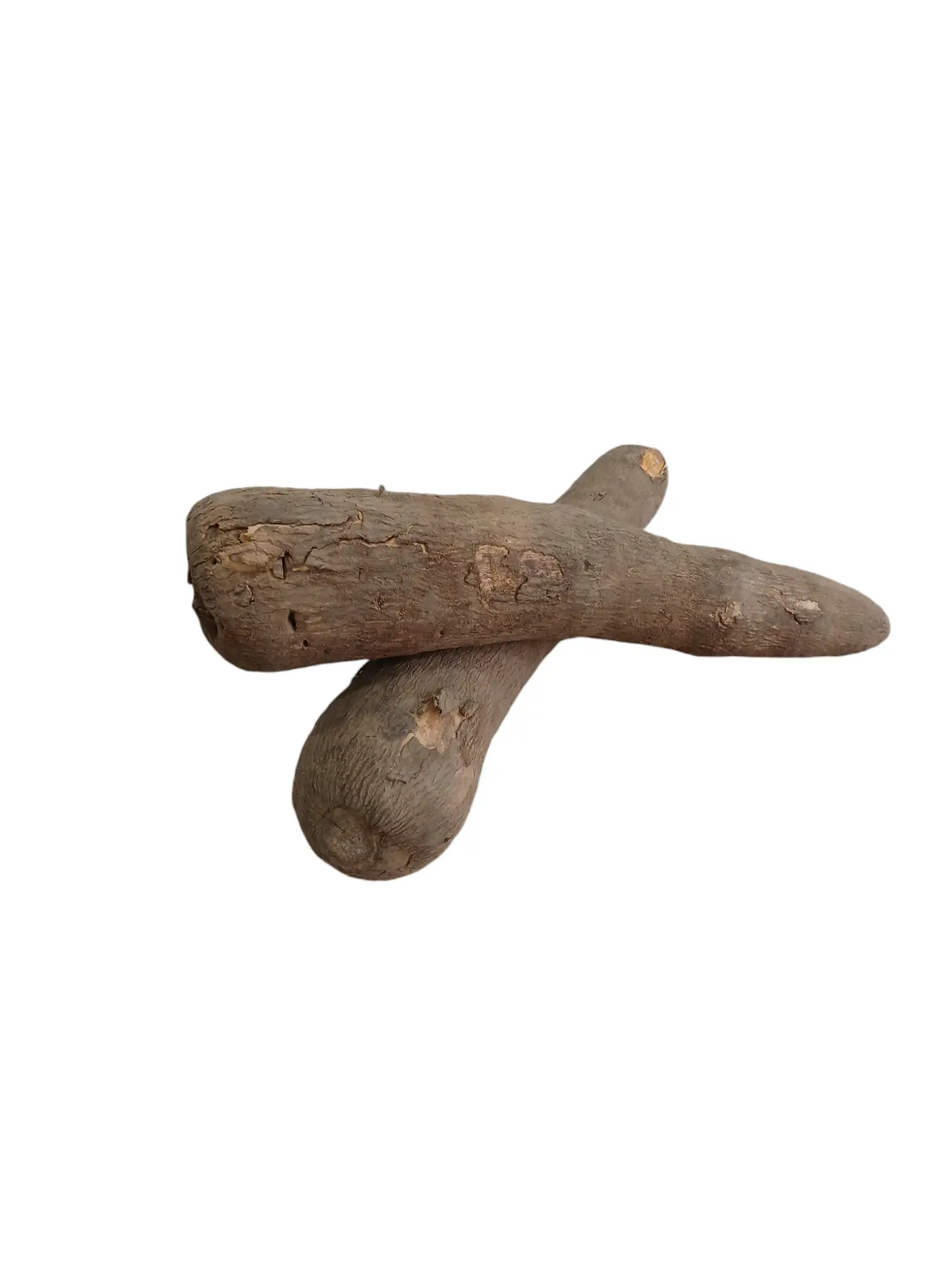 Yam Tuber.