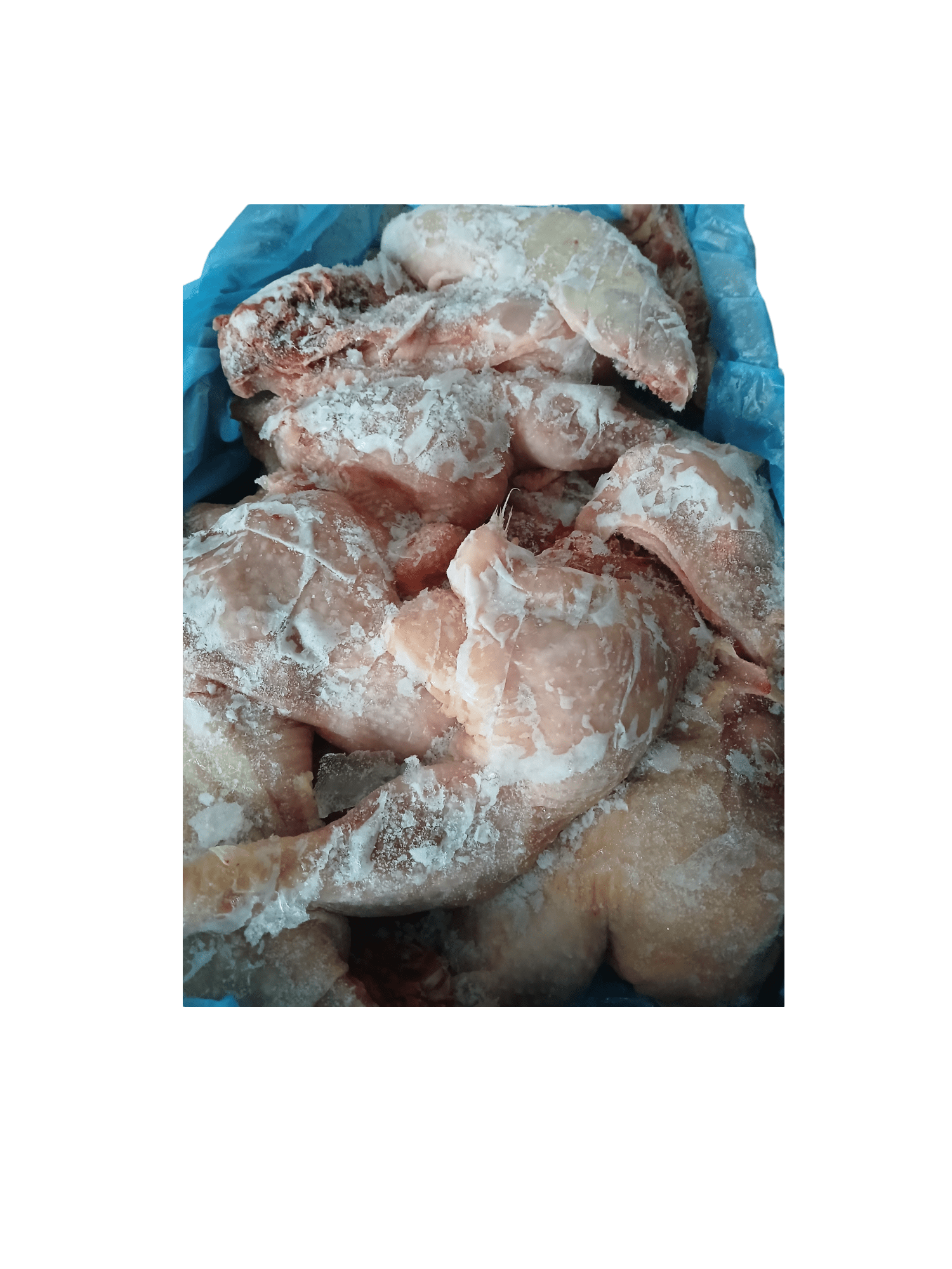 Hard chicken Leg and tight
