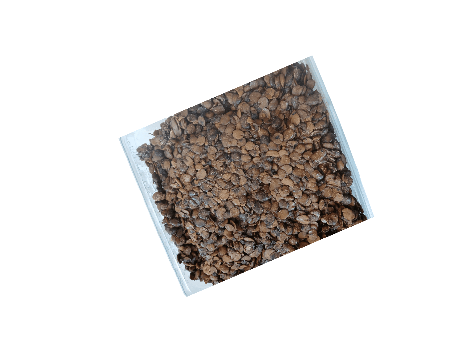 Fresh Locust beans