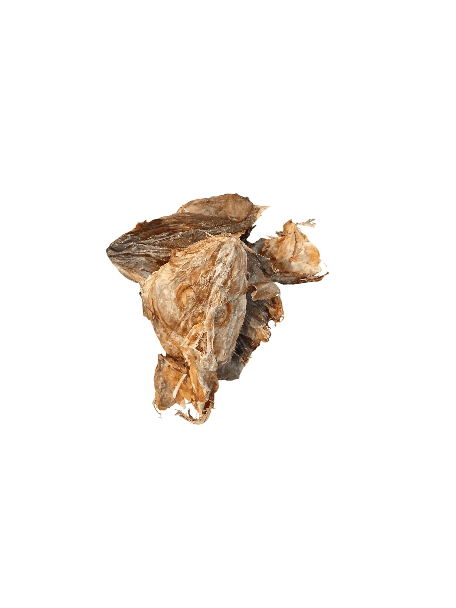 Stockfish head (Apama)