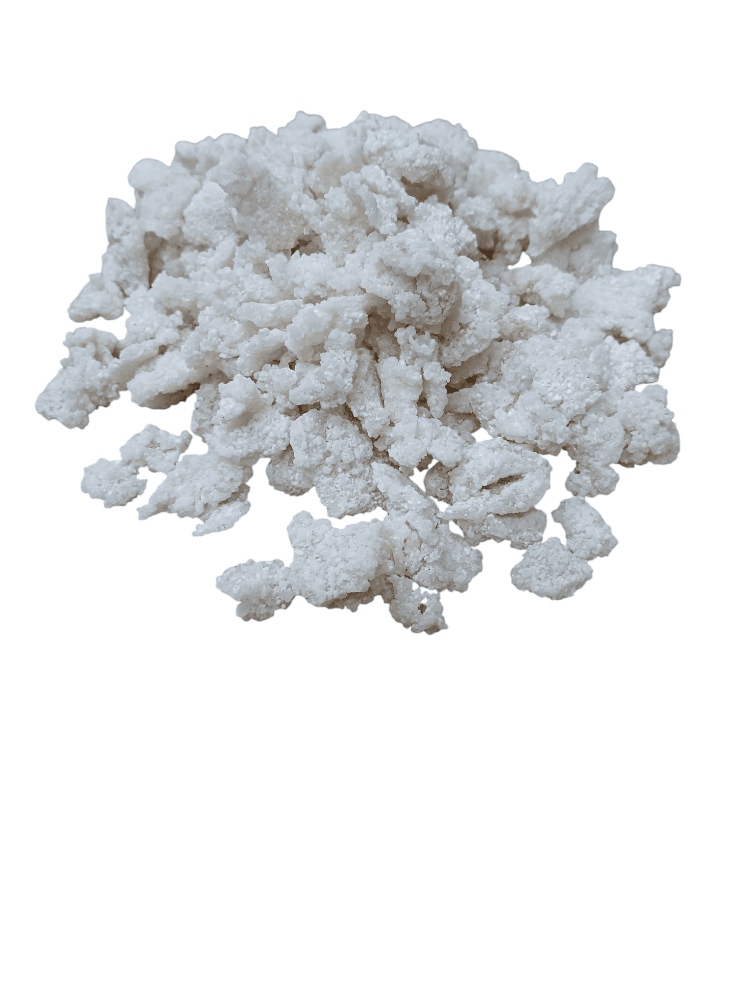 TAPIOCA