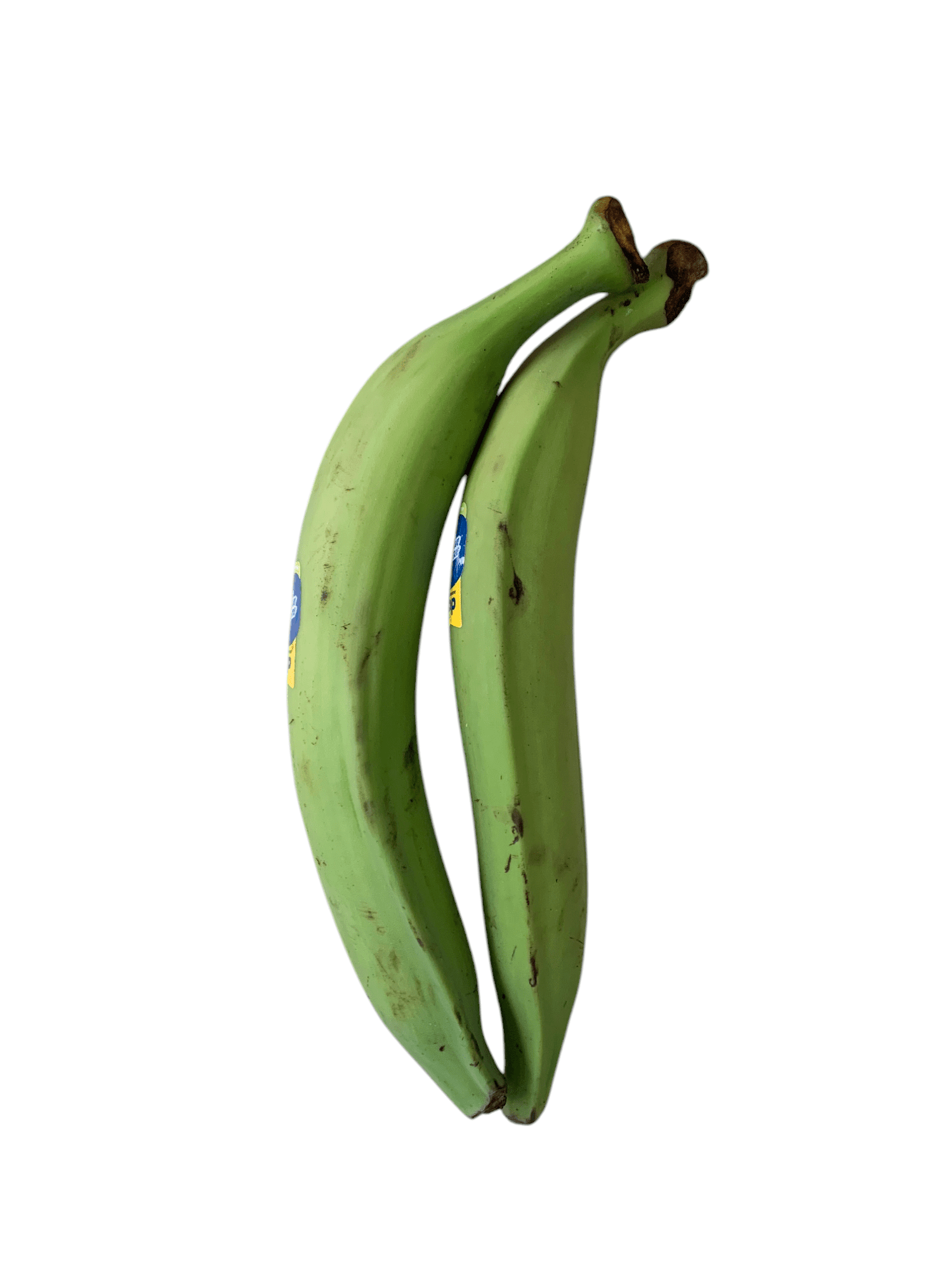 GREEN PLANTAIN