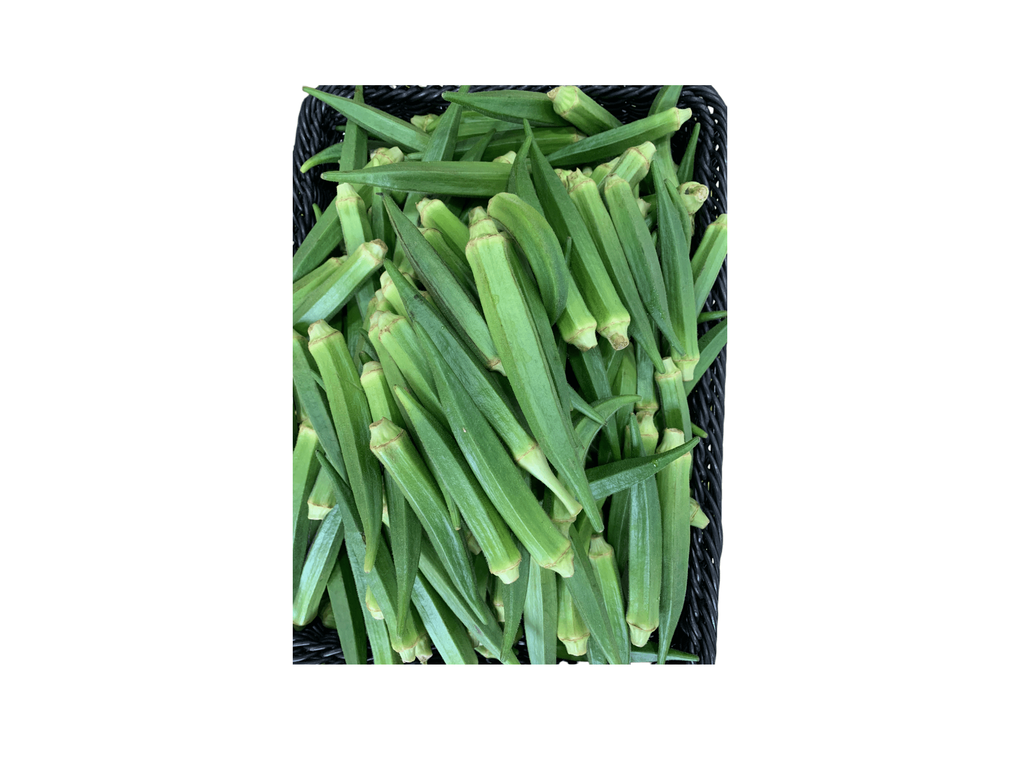 FRESH OKRO