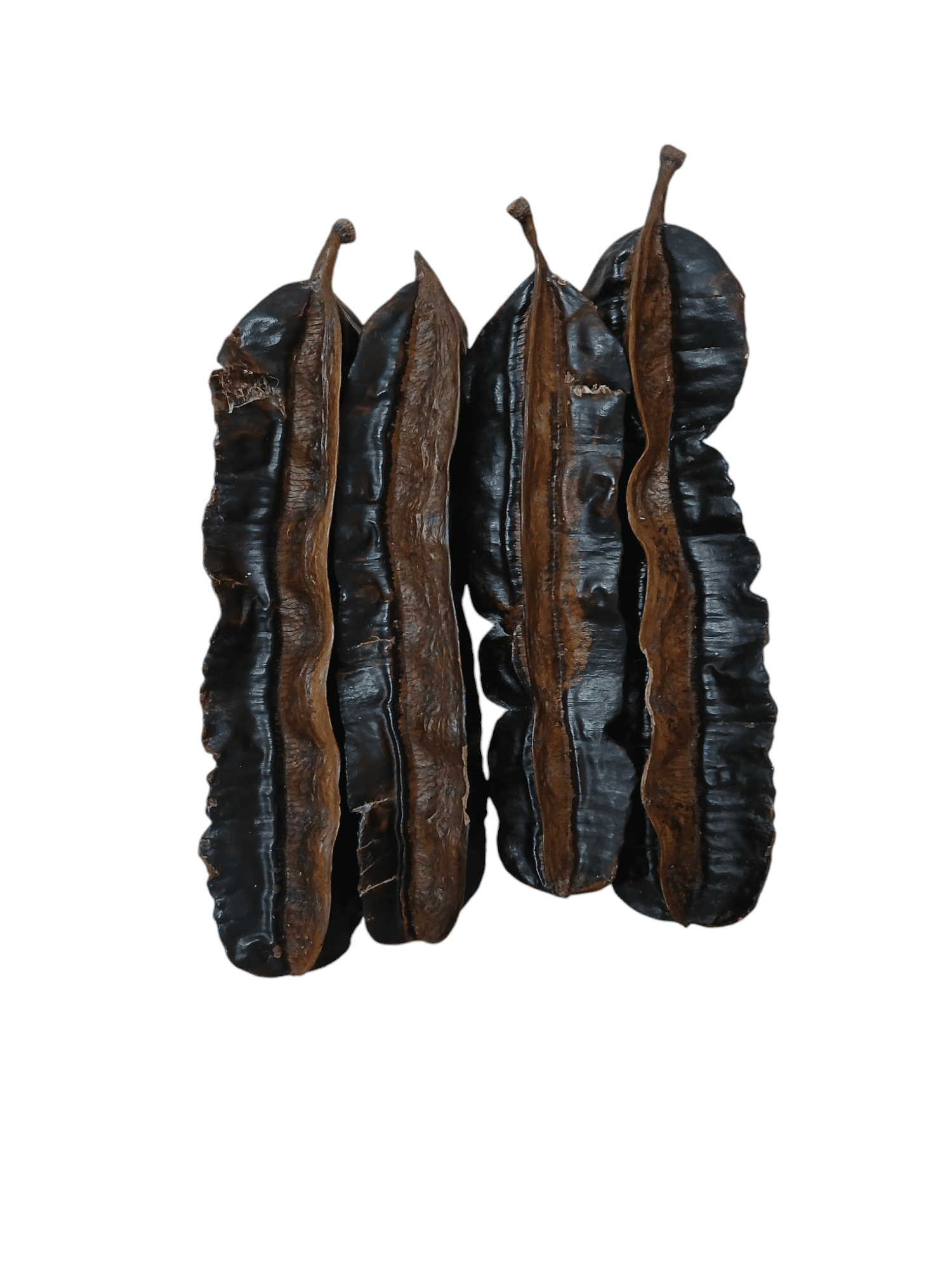 Prekese seed  (Aidan) (4 in a pack)